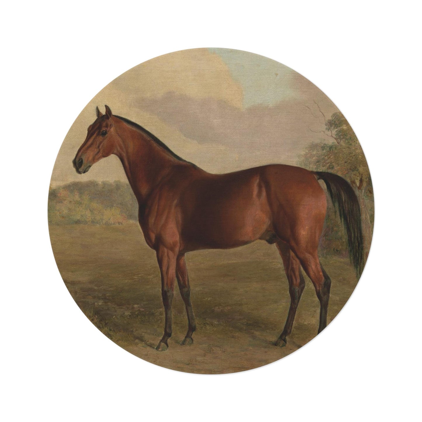 Vintage Horse Round Rug: William Berraud Equestrian Art Carpet